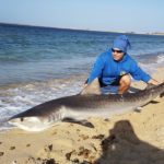Pesca agli squali a Maio C&R
