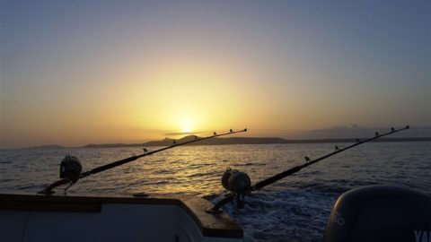 La Pesca a Capo Verde
