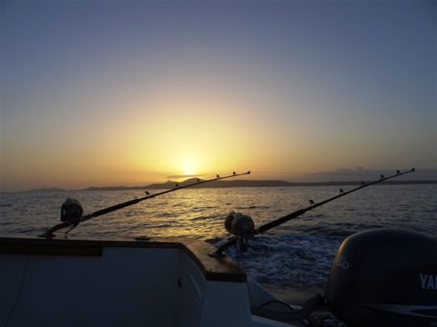 La Pesca a Capo Verde